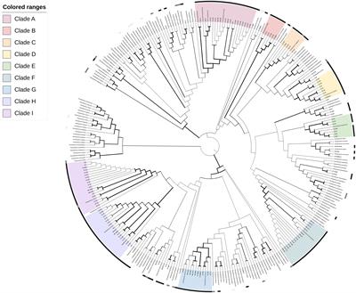 Atypical flavobacteria recovered from diseased fish in the Western United States